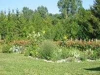 Le jardin de la maison d'hôtes